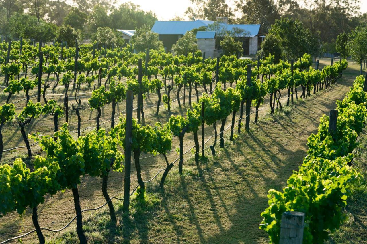 Thistle Hill Guesthouse - Walk To Many Wineries And Restaurants Pokolbin Εξωτερικό φωτογραφία