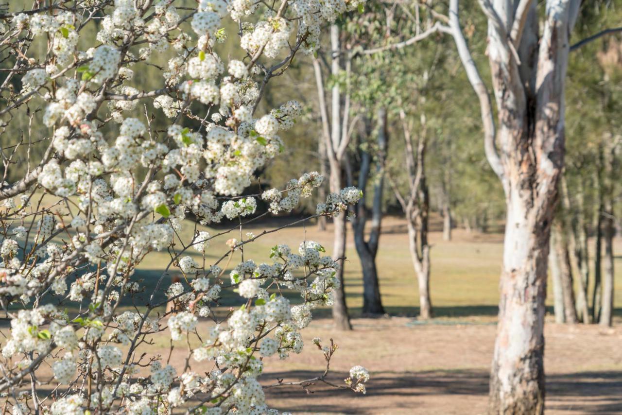 Thistle Hill Guesthouse - Walk To Many Wineries And Restaurants Pokolbin Εξωτερικό φωτογραφία