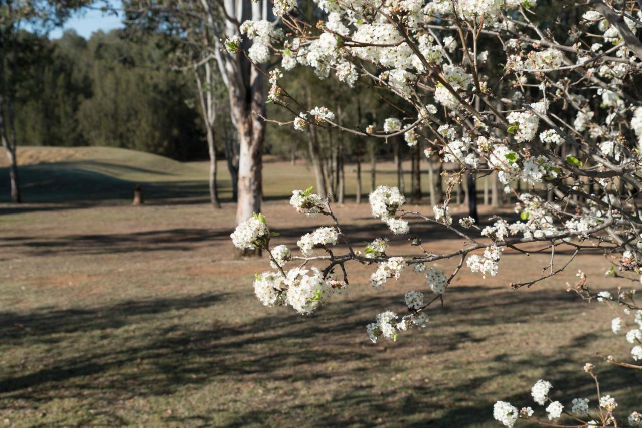 Thistle Hill Guesthouse - Walk To Many Wineries And Restaurants Pokolbin Εξωτερικό φωτογραφία