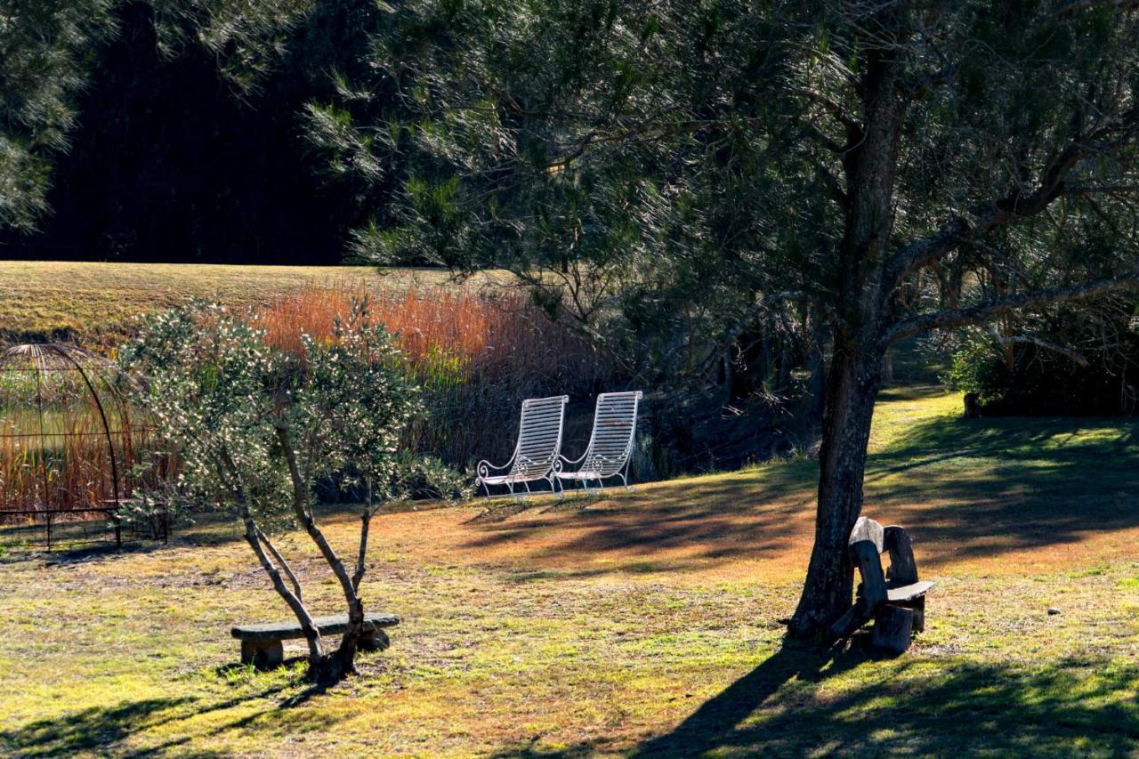 Thistle Hill Guesthouse - Walk To Many Wineries And Restaurants Pokolbin Εξωτερικό φωτογραφία