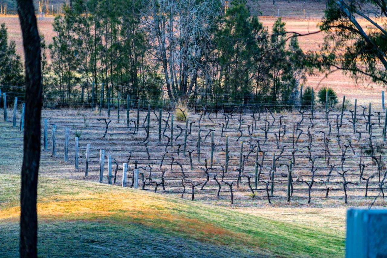 Thistle Hill Guesthouse - Walk To Many Wineries And Restaurants Pokolbin Εξωτερικό φωτογραφία