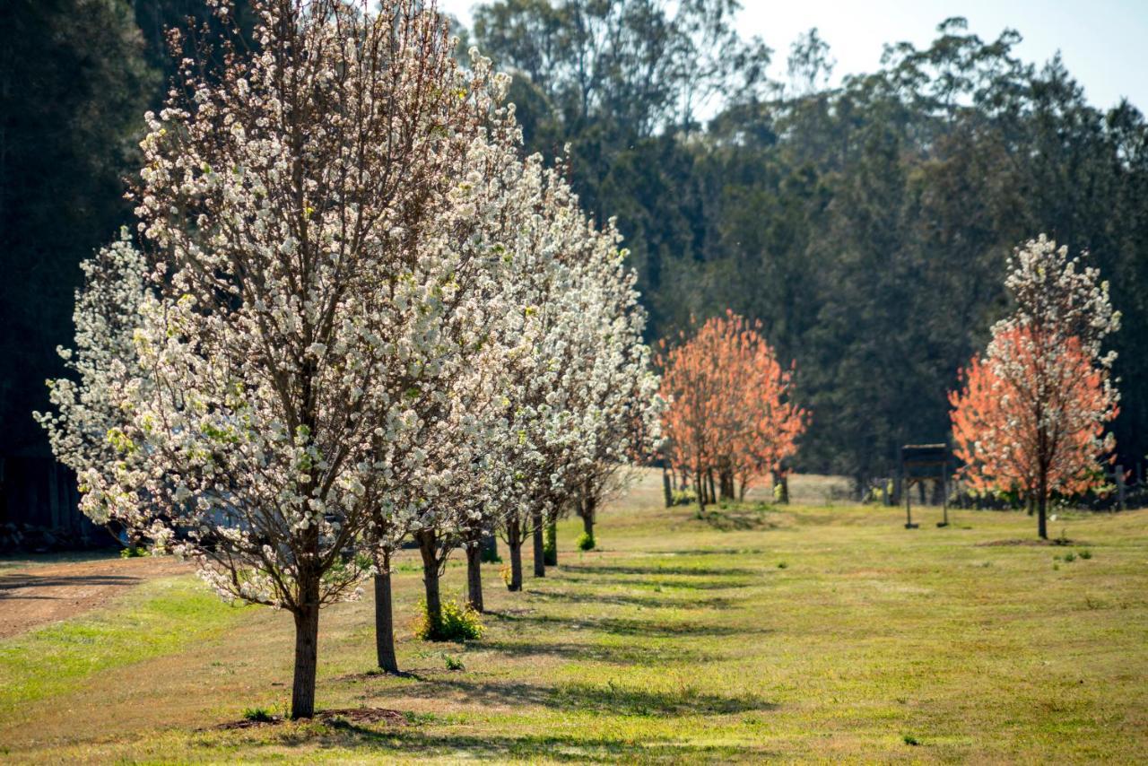 Thistle Hill Guesthouse - Walk To Many Wineries And Restaurants Pokolbin Εξωτερικό φωτογραφία