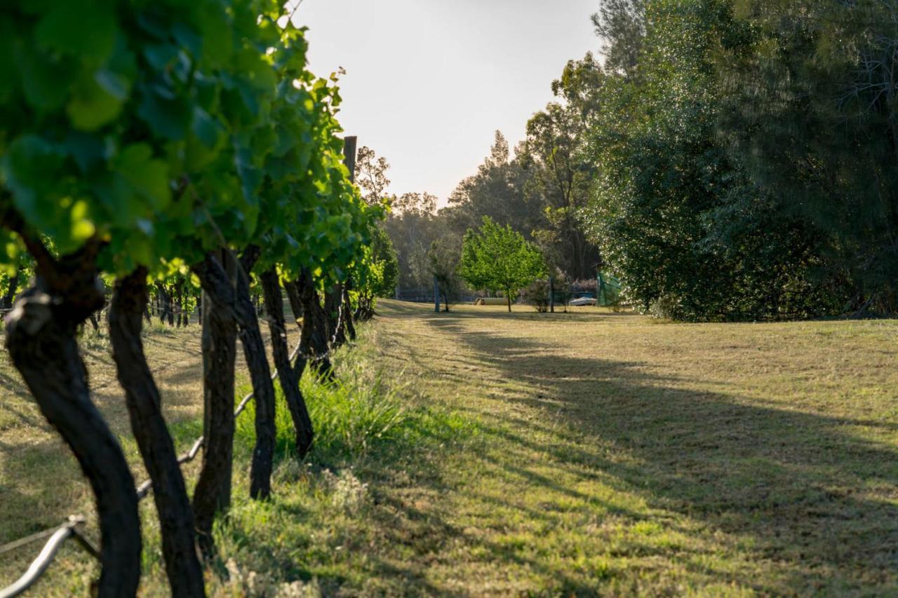 Thistle Hill Guesthouse - Walk To Many Wineries And Restaurants Pokolbin Εξωτερικό φωτογραφία