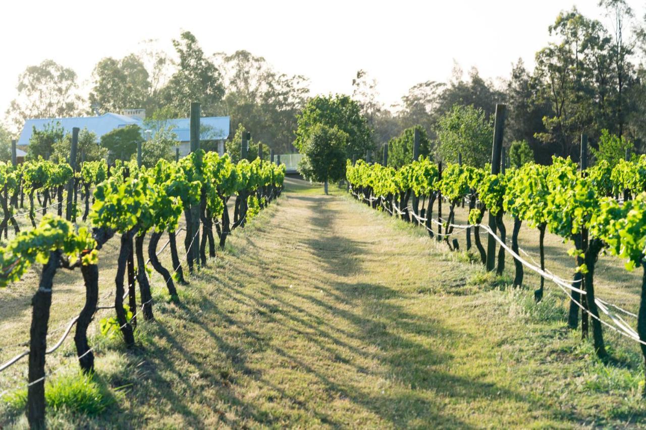 Thistle Hill Guesthouse - Walk To Many Wineries And Restaurants Pokolbin Εξωτερικό φωτογραφία